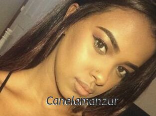Canelamanzur