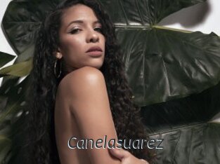 Canelasuarez