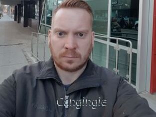 Cangingie