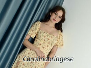 Carolinabridgese