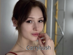 Carrybush