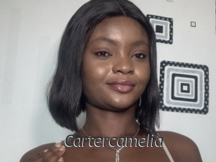 Cartercamelia