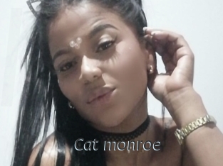 Cat_monroe
