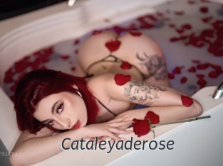 Cataleyaderose