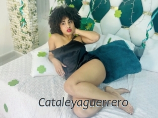 Cataleyaguerrero