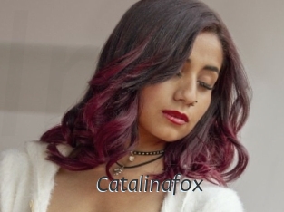 Catalinafox