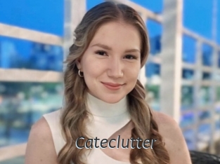 Cateclutter