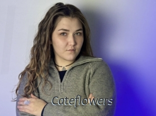 cateflowers Ligne Rose