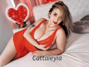 Cattaleyia