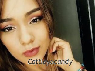 Cattleyacandy