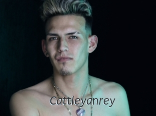 cattleyanrey Ligne Rose