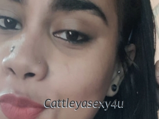 Cattleyasexy4u