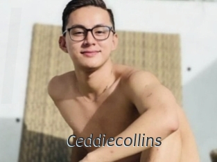 Ceddiecollins
