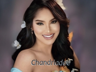 chandriadee Ligne Rose
