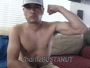 CharlieBUSTANUT