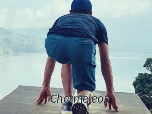 Charmeleon