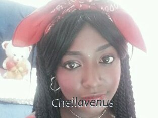 cheilavenus Ligne Rose