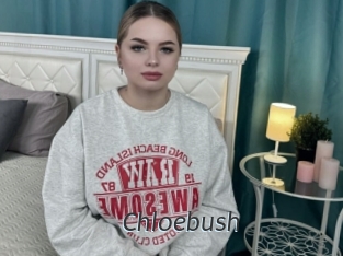 Chloebush