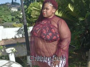 Chubby_bule