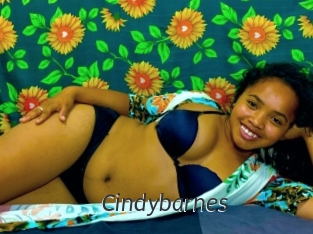 Cindybarnes