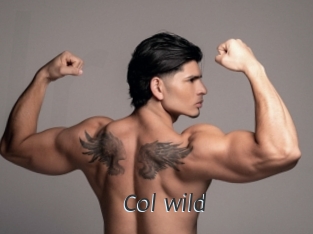 col_wild Ligne Rose