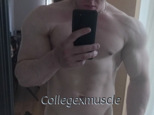 collegexmuscle Ligne Rose