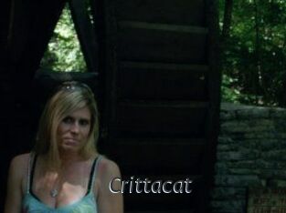 Crittacat