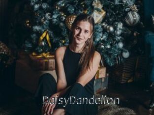 DaisyDandelion