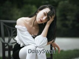 DaisySwan