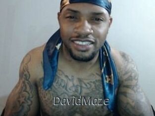 David_Maze