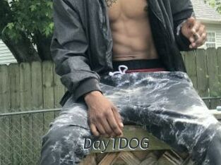 Day1DOG