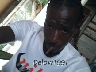 Delow1991