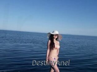 DestinyAnel