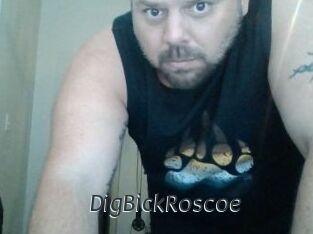 DigBickRoscoe