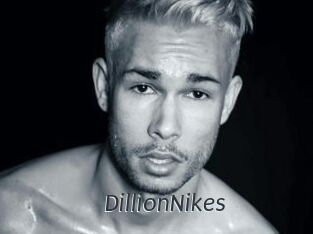 DillionNikes