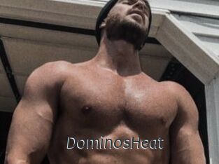 DominosHeat