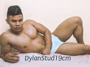 DylanStud19cm