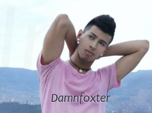 Damnfoxter