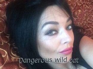 Dangerous_wild_cat