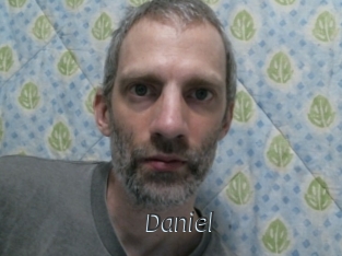 daniel Ligne Rose