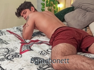 dantebonett Ligne Rose