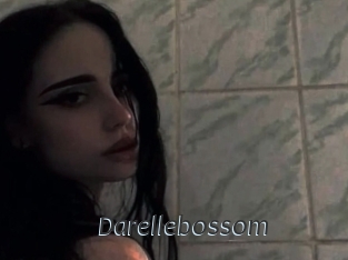 Darellebossom
