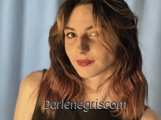 Darlenegriscom