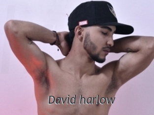 david_harlow Ligne Rose