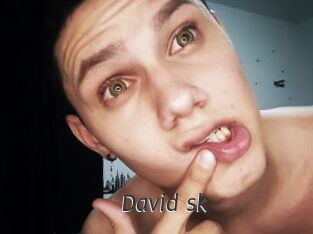 David_sk