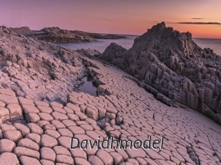 Davidhmodel