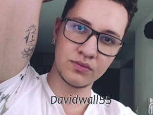 Davidwall55