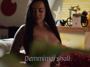 Demmimarshall