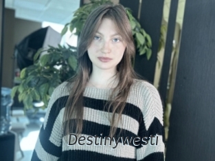 Destinywesti