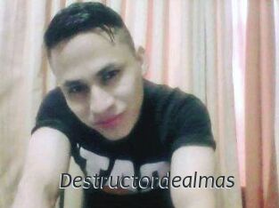 Destructordealmas